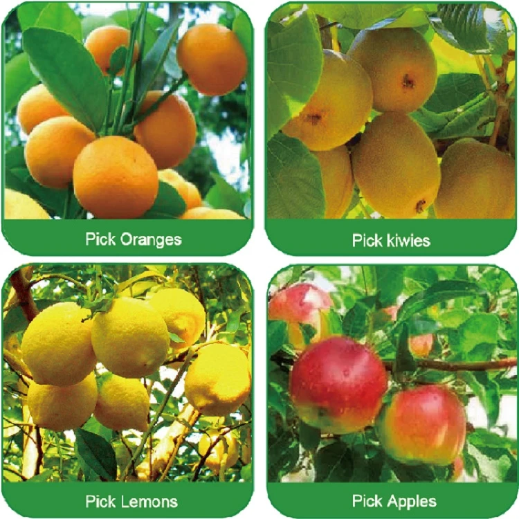 Fruit Picker suppliers Fruit Picker suppliers